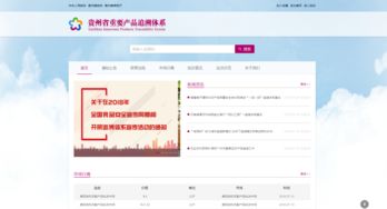 貴州電商云技術(shù)實力獲權(quán)威認(rèn)定，成就信息系統(tǒng)集成服務(wù)新標(biāo)桿